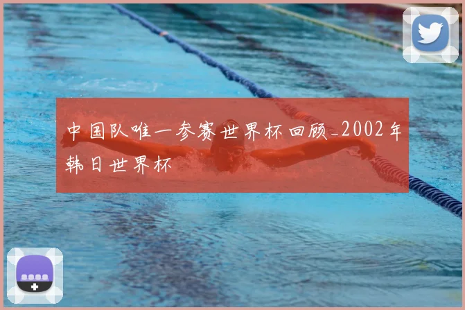 中国队唯一参赛世界杯回顾_2002年韩日世界杯
