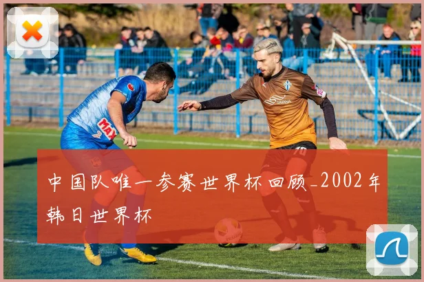 中国队唯一参赛世界杯回顾_2002年韩日世界杯
